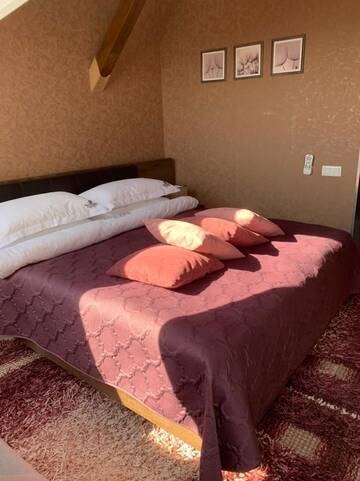 Бюджетный двухместный номер с 1 кроватью в Мини-отеле Мини-отель «Вилла-София»